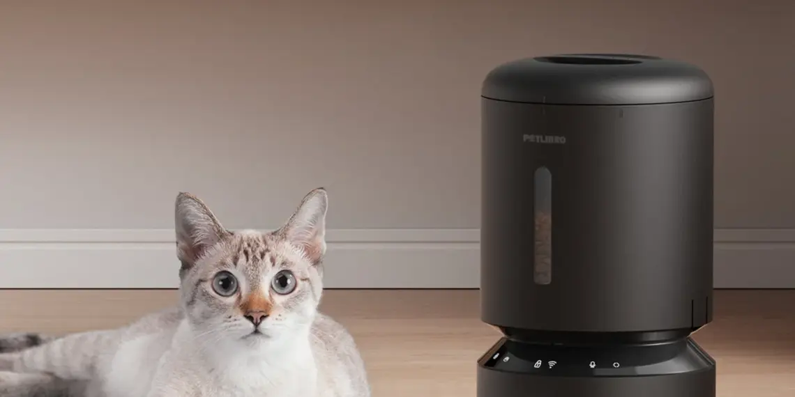 A pet feeder outage left cats and dogs waiting for food