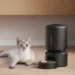 A pet feeder outage left cats and dogs waiting for food
