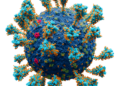 Scientists used AI to design a virus from scratch, biosecurity experts are worried