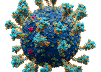 Scientists used AI to design a virus from scratch, biosecurity experts are worried