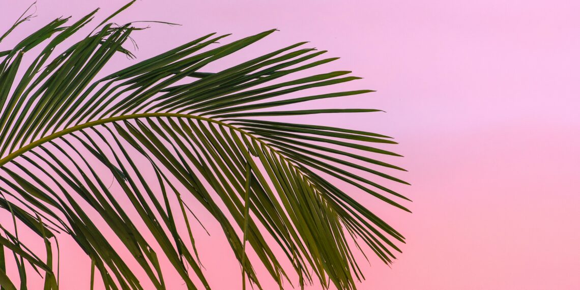 The last stretch of summer deserves less planning, not more