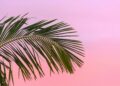 The last stretch of summer deserves less planning, not more