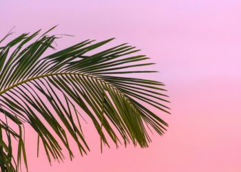 The last stretch of summer deserves less planning, not more