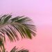 The last stretch of summer deserves less planning, not more