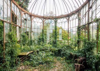 Nicola Bertellotti: “Photography Doesn’t Have to Possess Everything”