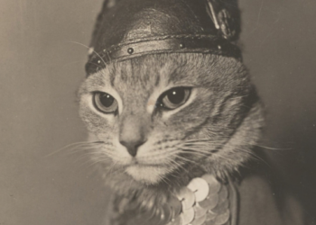 How Cats Became One of Art’s Favorite Subjects