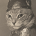 How Cats Became One of Art’s Favorite Subjects