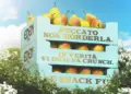 Branding a pear for a generation that stopped eating them