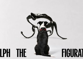 Can Art Reveal a Rescue Dog’s Personality?