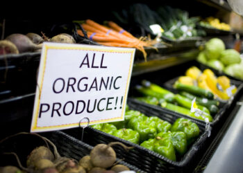 “Organic literature” is the new label for books written by humans